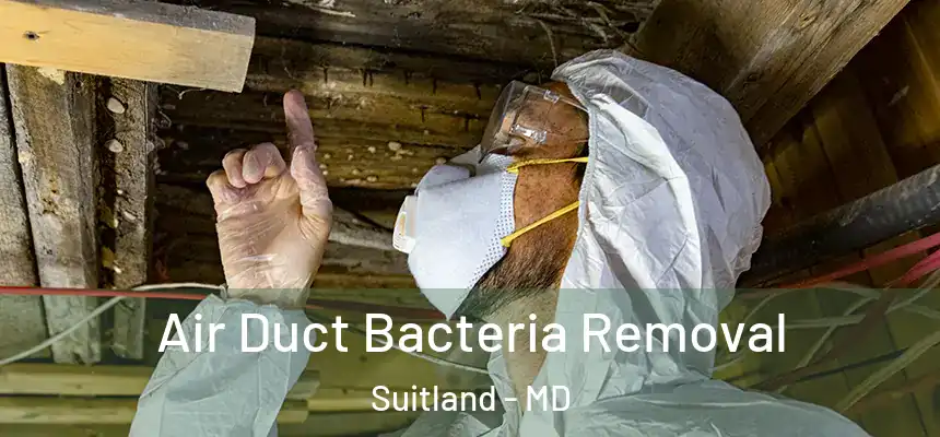  Air Duct Bacteria Removal Suitland - MD