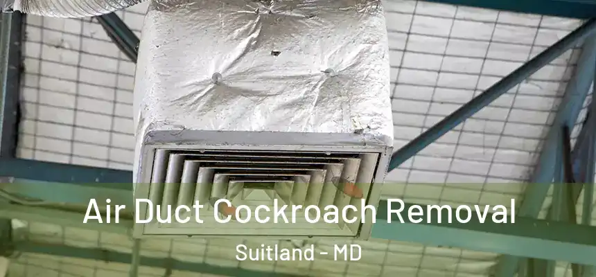  Air Duct Cockroach Removal Suitland - MD
