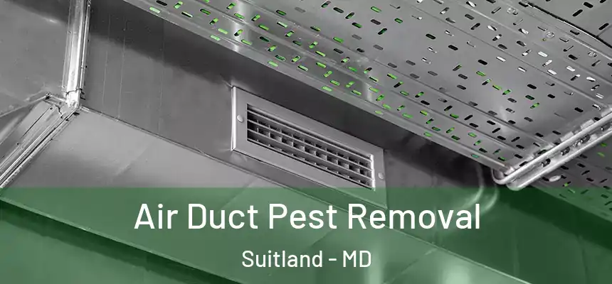 Air Duct Pest Removal Suitland - MD