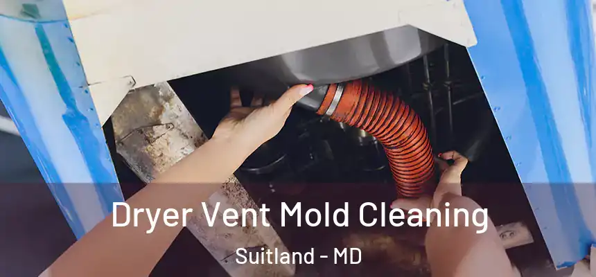  Dryer Vent Mold Cleaning Suitland - MD
