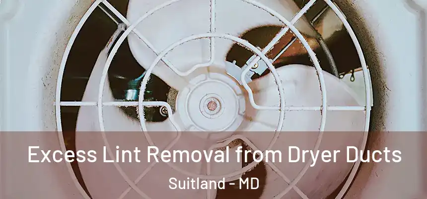 Excess Lint Removal from Dryer Ducts Suitland - MD