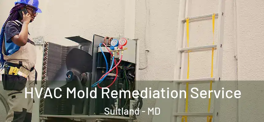 HVAC Mold Remediation Service Suitland - MD