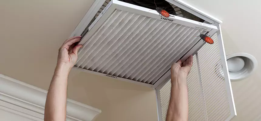 Preventive Cockroach-Proofing for Ducts in Suitland
