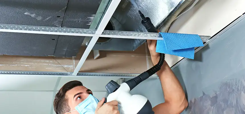 Our Air Duct Rodent Removal Services in Suitland, MD