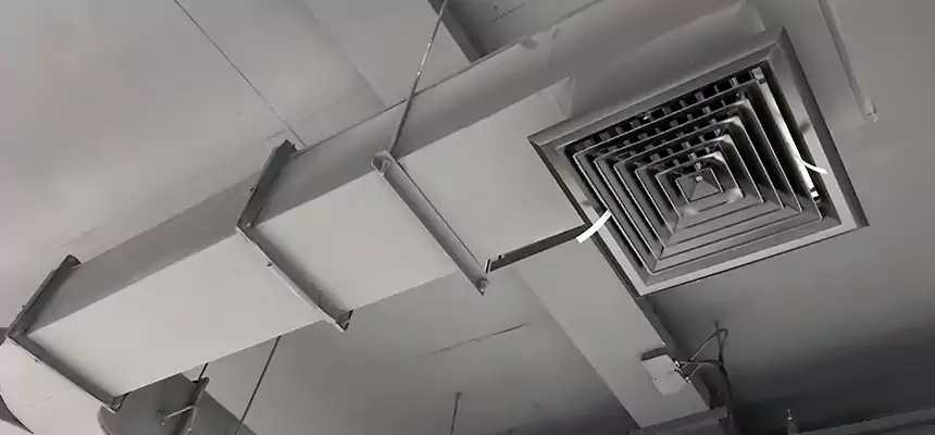 Restorative Allergy Relief Vent Cleaning – Coil, Blower & Housing Detail in Suitland