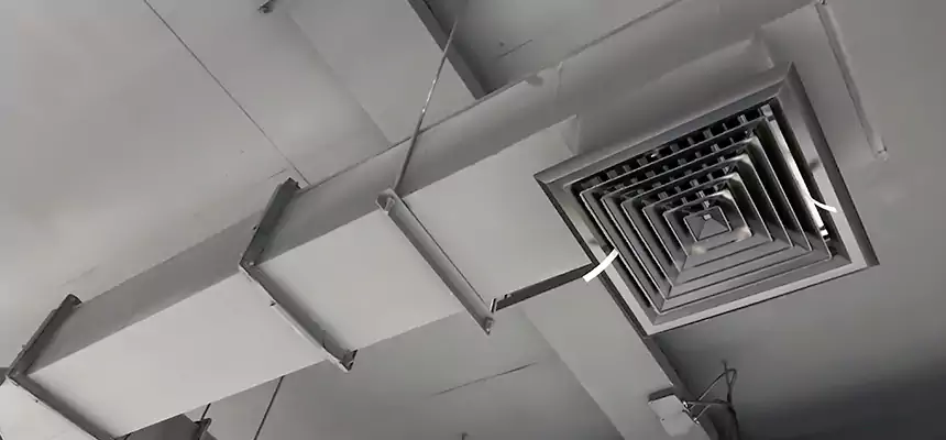 Our Rodent Droppings In Vents Services in Suitland, MD