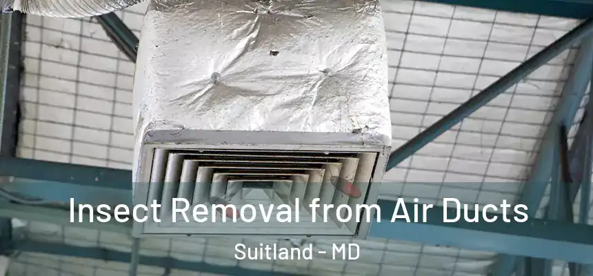 Insect Removal from Air Ducts Suitland - MD