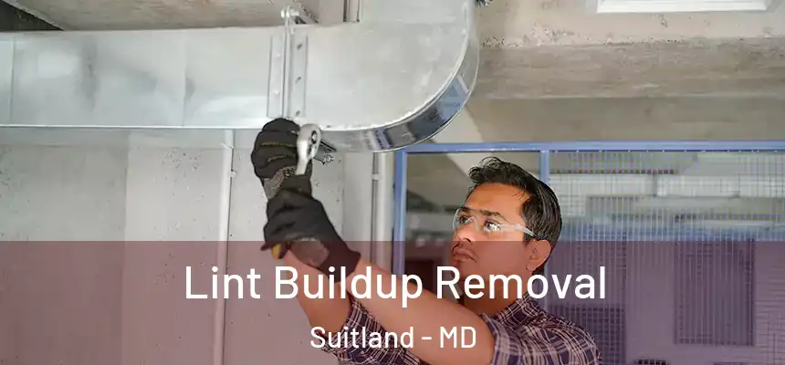  Lint Buildup Removal Suitland - MD