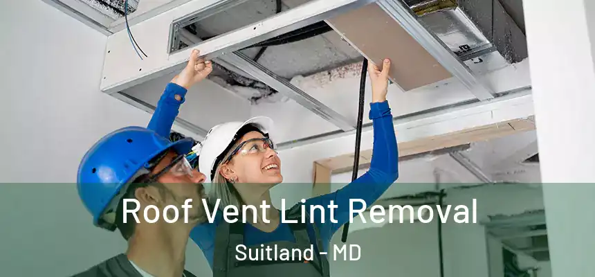 Roof Vent Lint Removal Suitland - MD