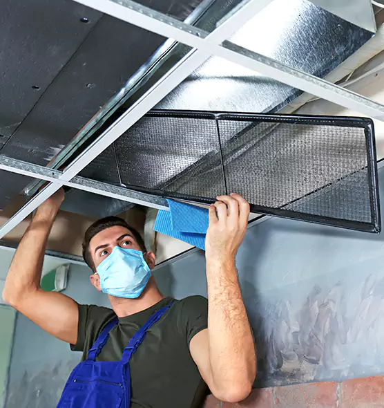 About Air Duct Bacteria Removal in Suitland