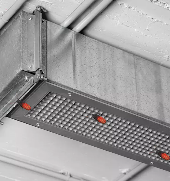 About Air Duct Cockroach Removal in Suitland, MD