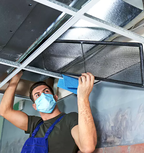 Professional Air Duct Pollen Cleaning in Suitland, MD