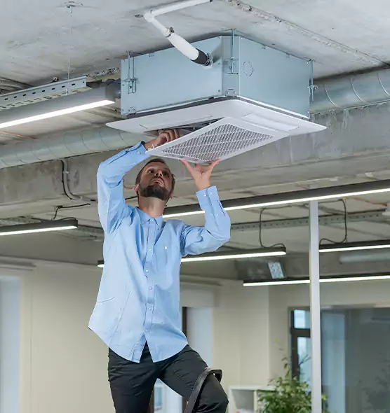 Advanced Rodent Droppings In Vents in Suitland, MD