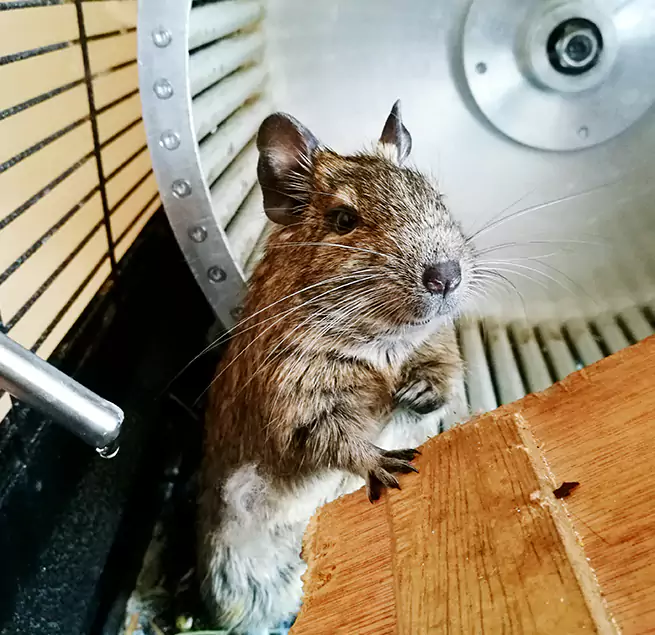 Why Homeowners & Businesses Trust Us Suitland, MD