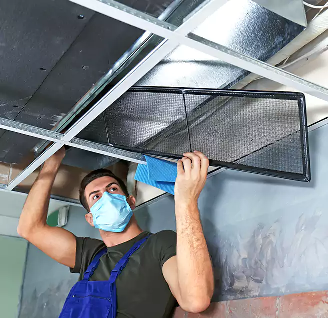 Why Homeowners Businesses Trust Us in Suitland, MD